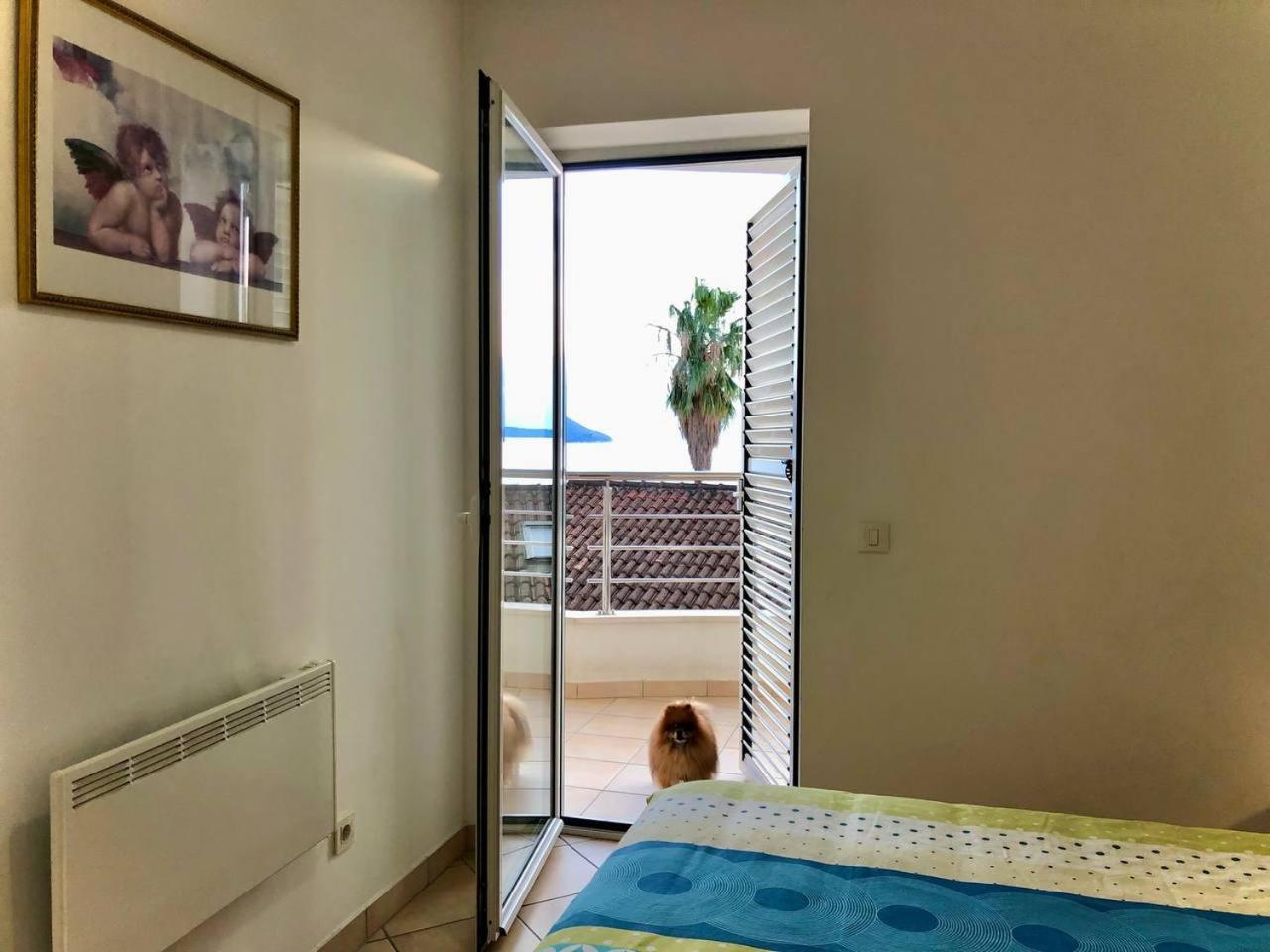 Boka Residence 7 赫尔采格诺维 外观 照片